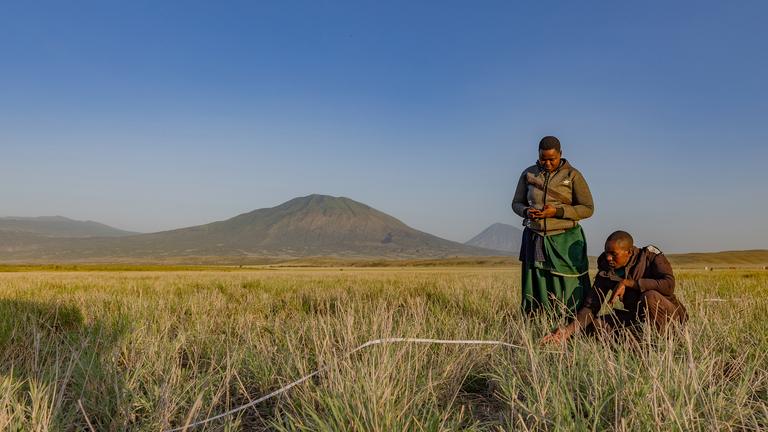 Herders on grassland at the foot of a mountain range