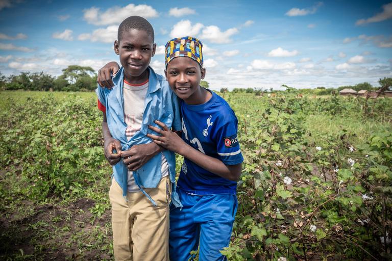 Two children in a cotton field