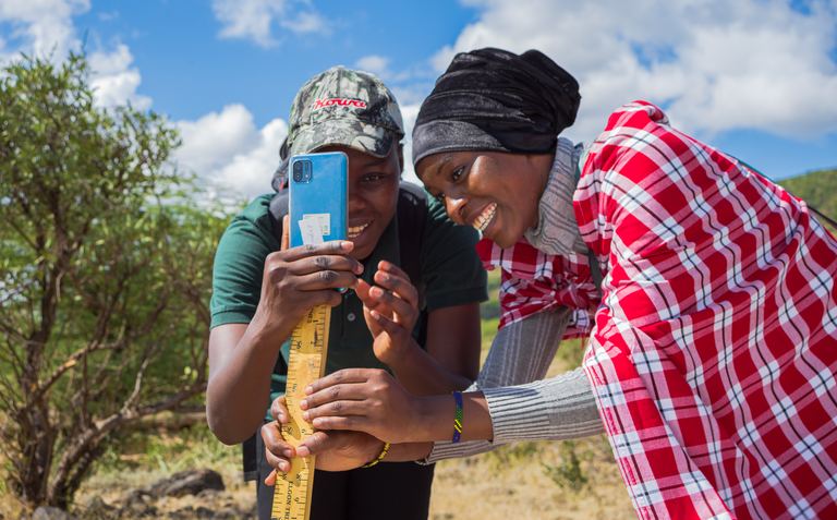Two women measuring a tree with a tape measure
